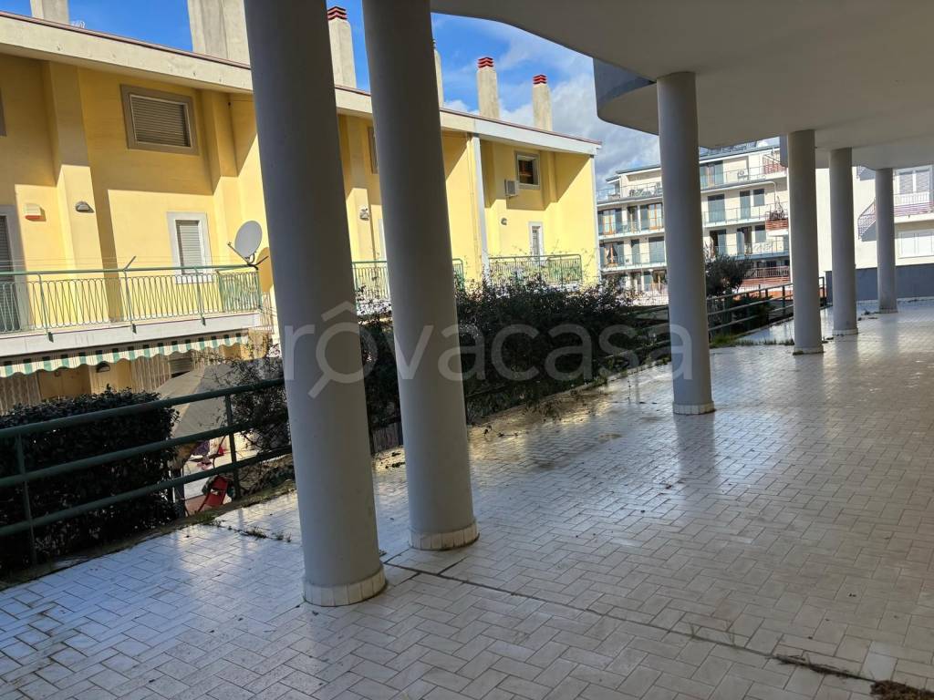 immagine annuncio 10 di 11