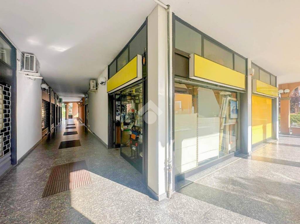 immagine annuncio 10 di 14