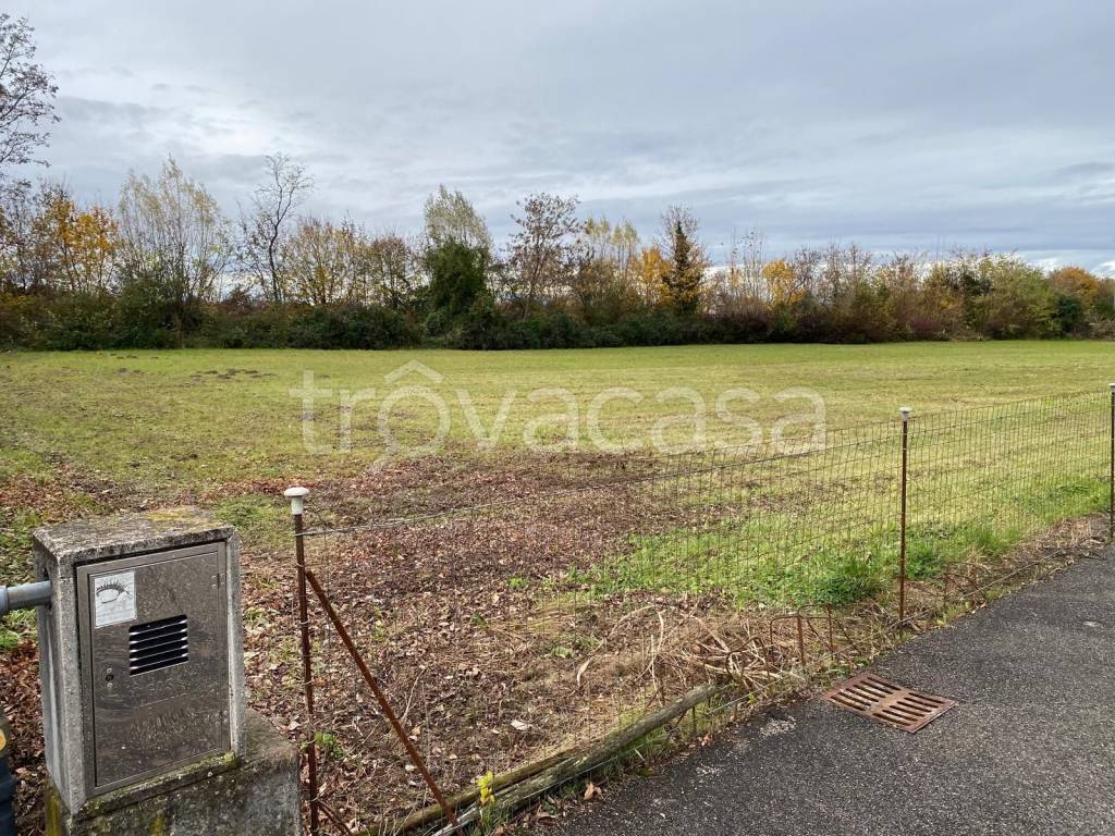 immagine annuncio 3 di 6