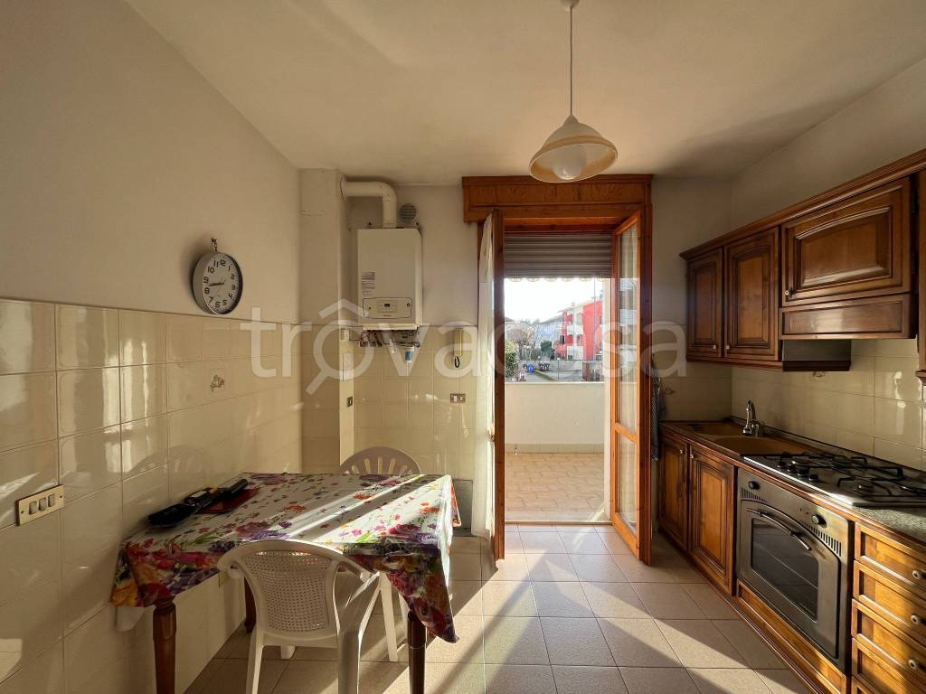 immagine annuncio 9 di 15