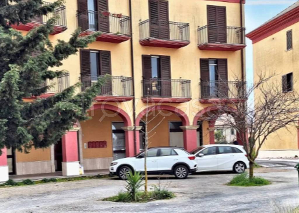 immagine annuncio 3 di 12