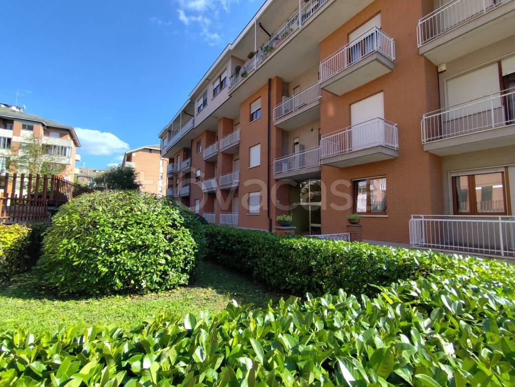 immagine annuncio 1 di 13