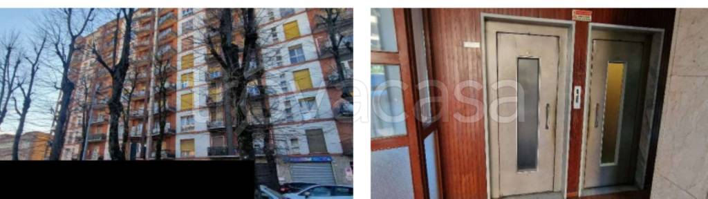 immagine annuncio 2 di 12