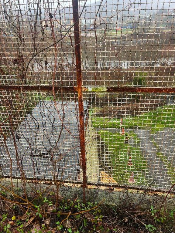 immagine annuncio 6 di 13