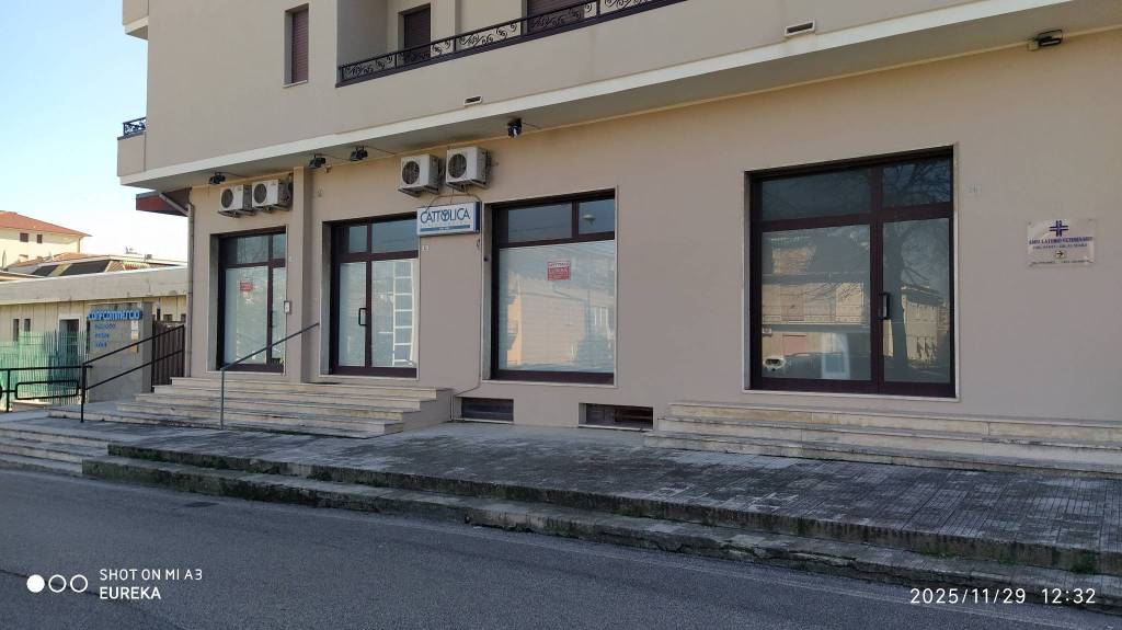 immagine annuncio 11 di 14