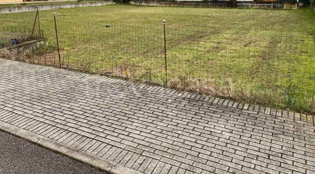 immagine annuncio 4 di 6