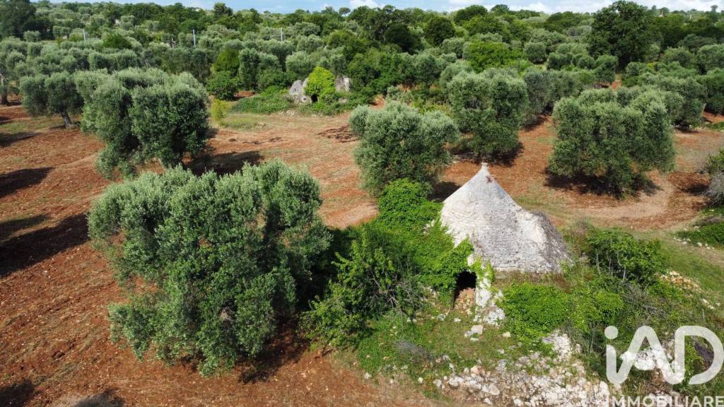 immagine annuncio 3 di 8