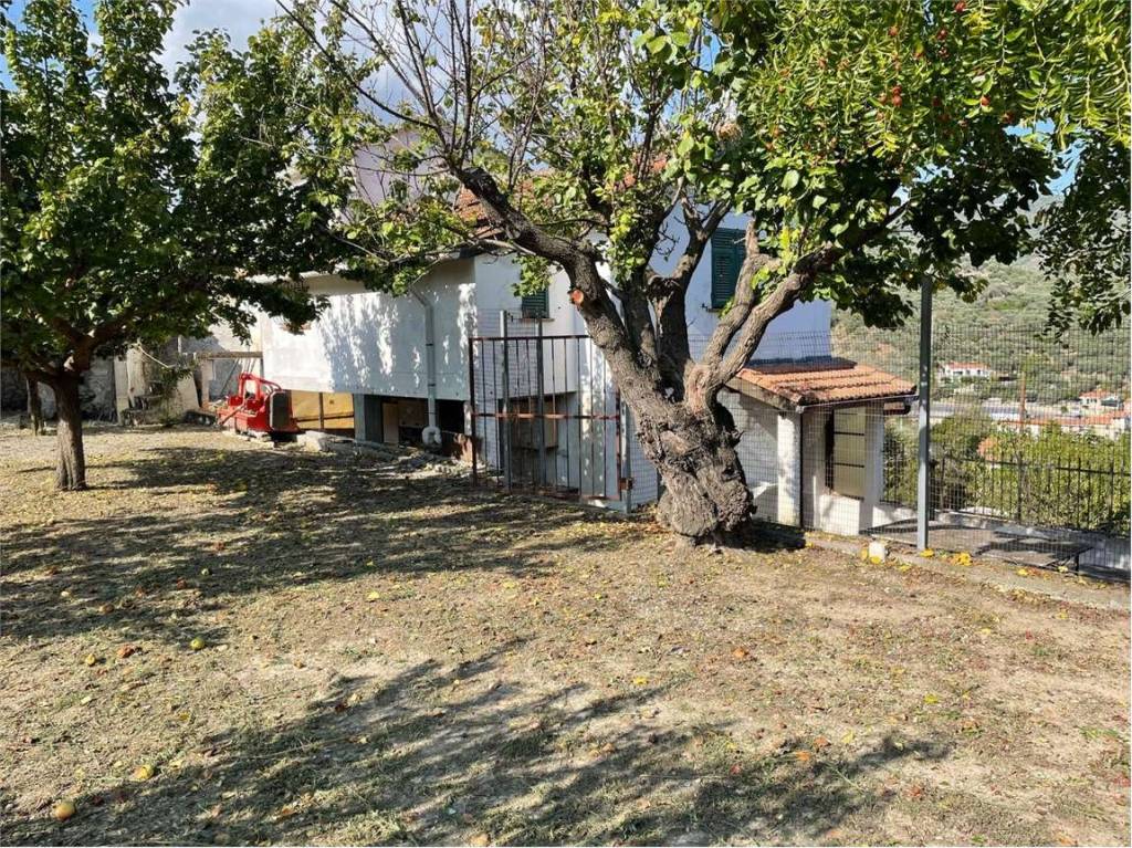 immagine annuncio 3 di 11