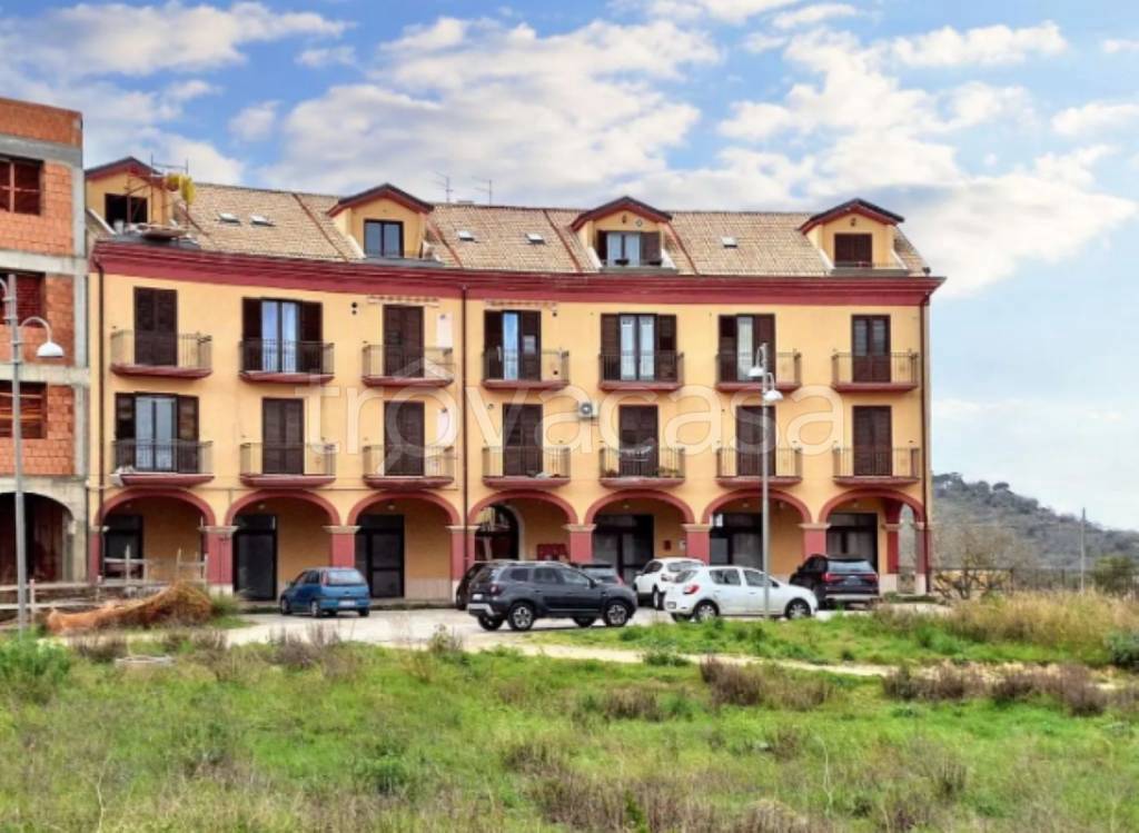 immagine annuncio 4 di 9