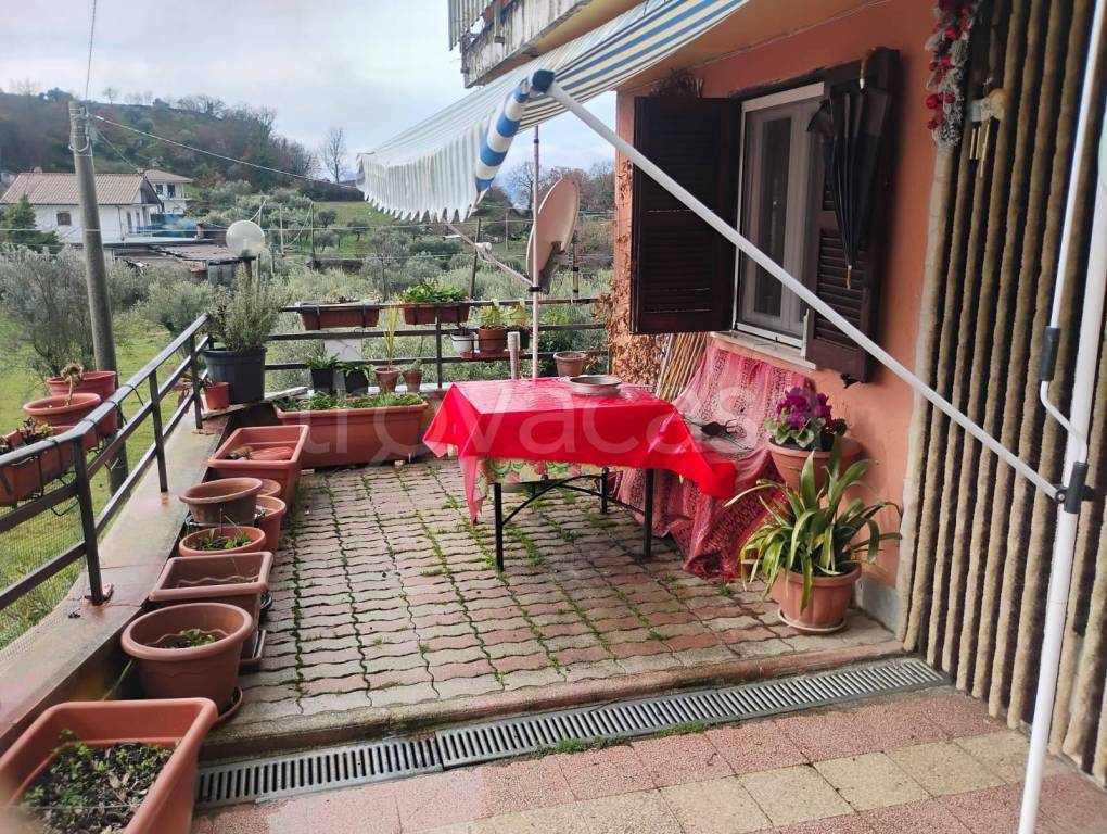 immagine annuncio 12 di 15