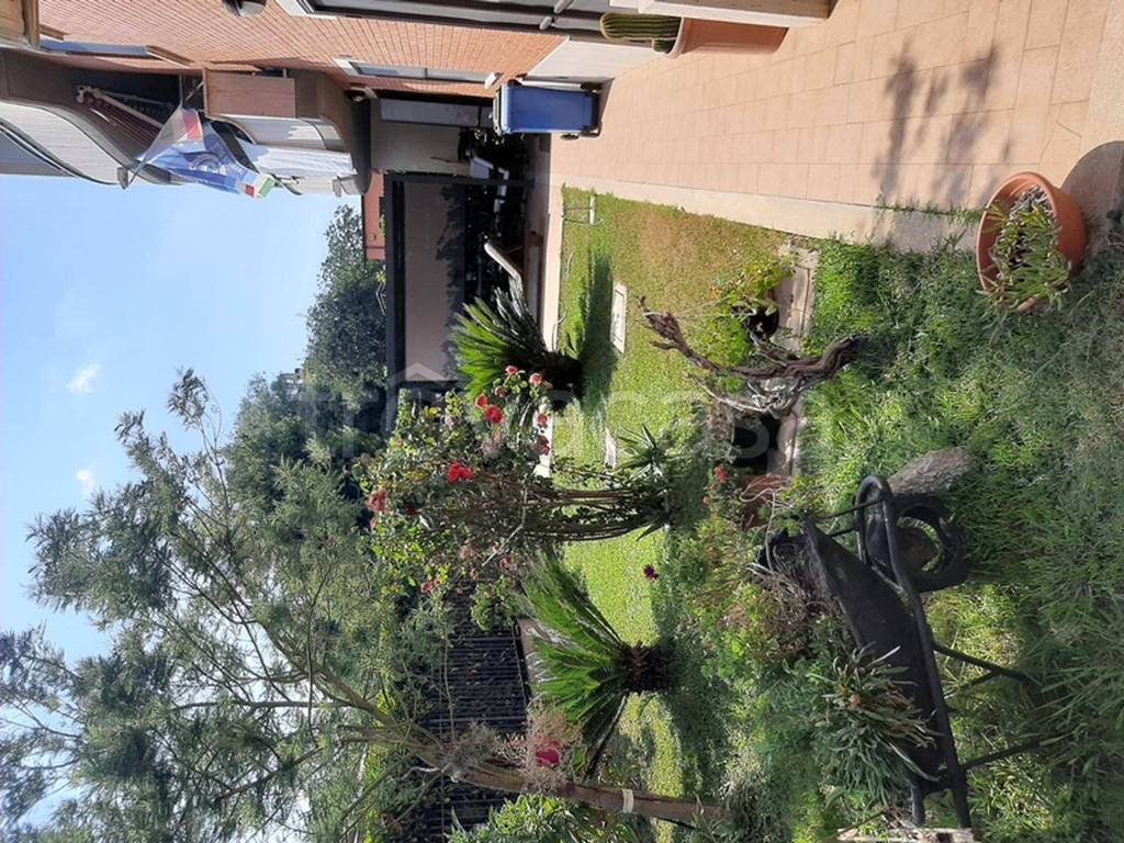 immagine annuncio 9 di 11