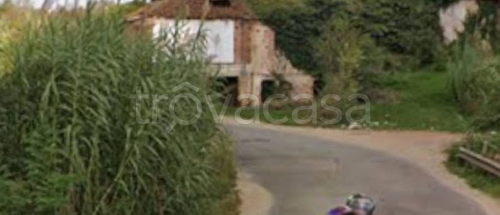 immagine annuncio 3 di 12