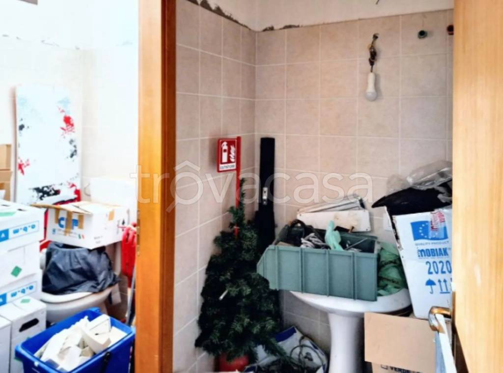 immagine annuncio 5 di 11