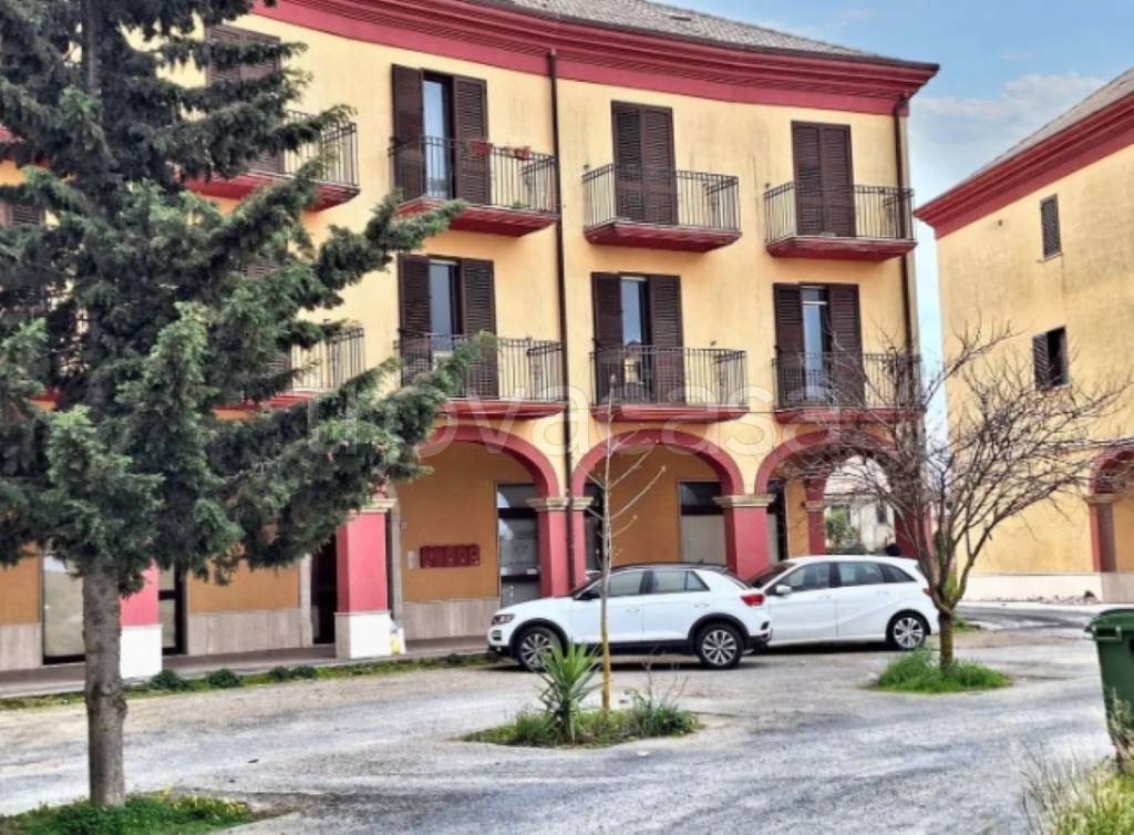 immagine annuncio 3 di 11