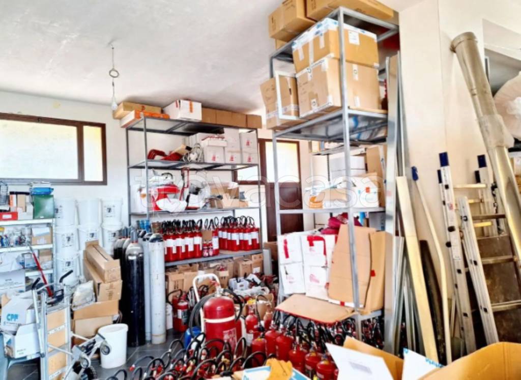 immagine annuncio 8 di 11