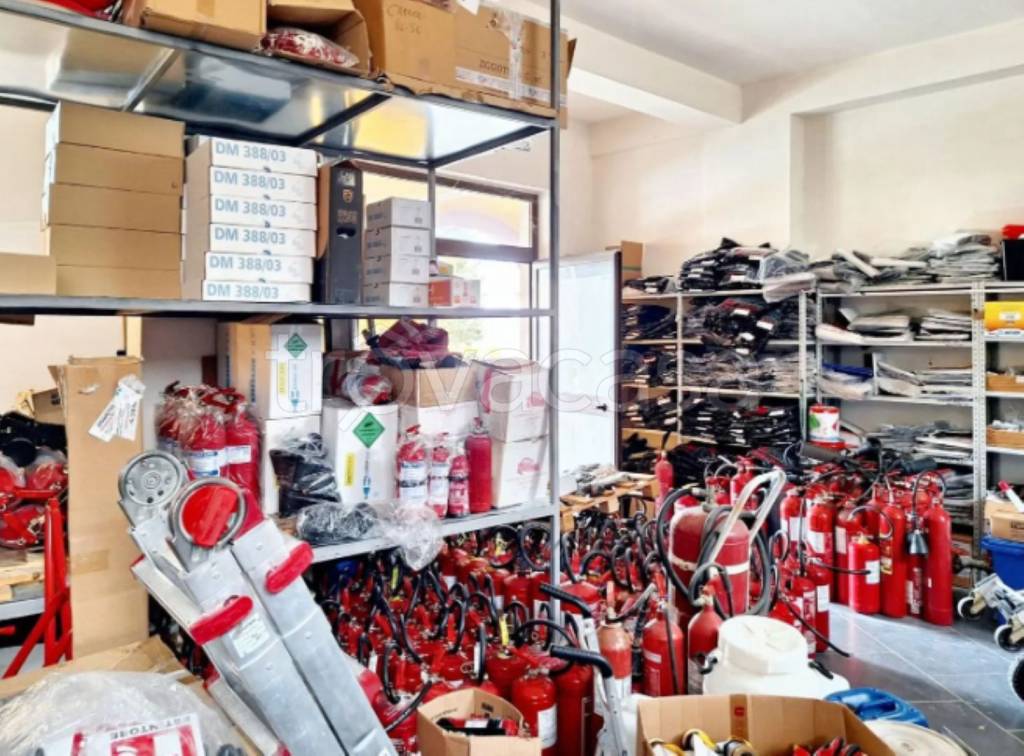 immagine annuncio 9 di 11