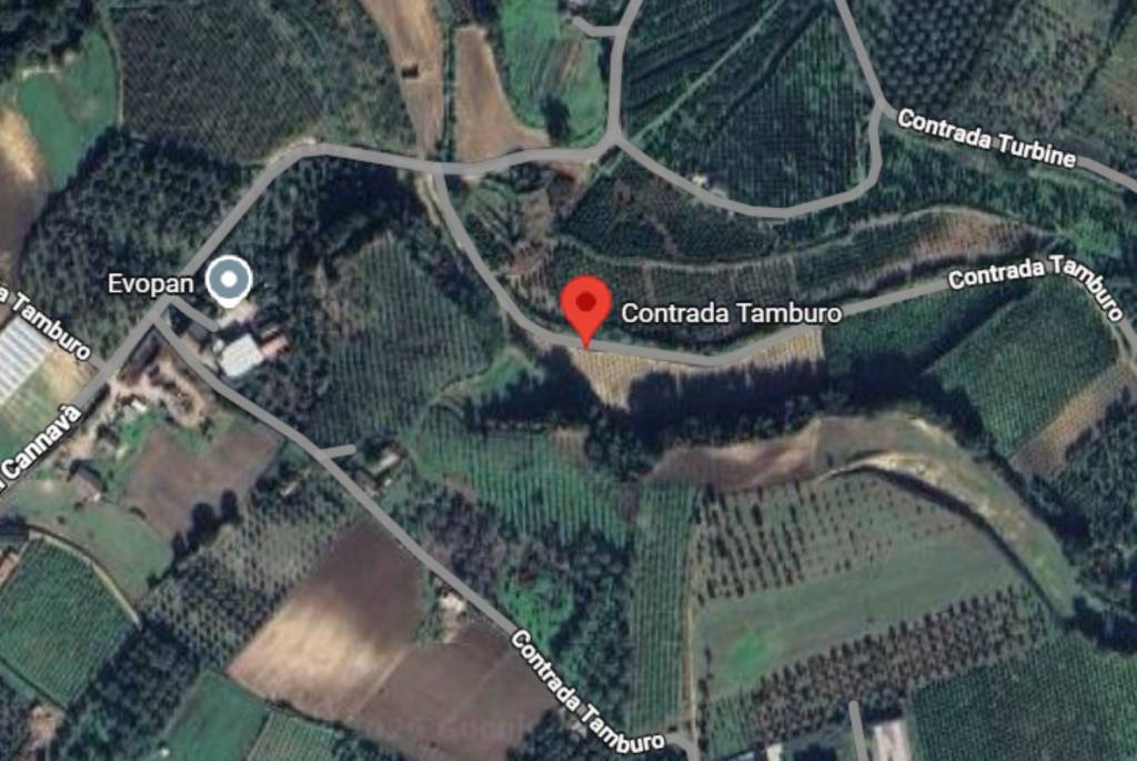 immagine annuncio 9 di 12