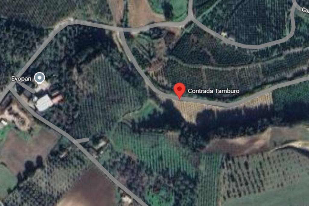 immagine annuncio 10 di 12