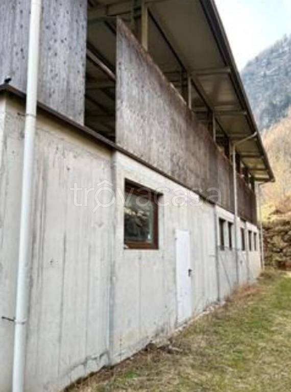 immagine annuncio 3 di 11