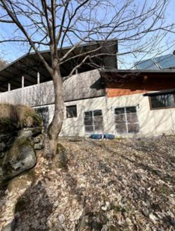 immagine annuncio 4 di 11