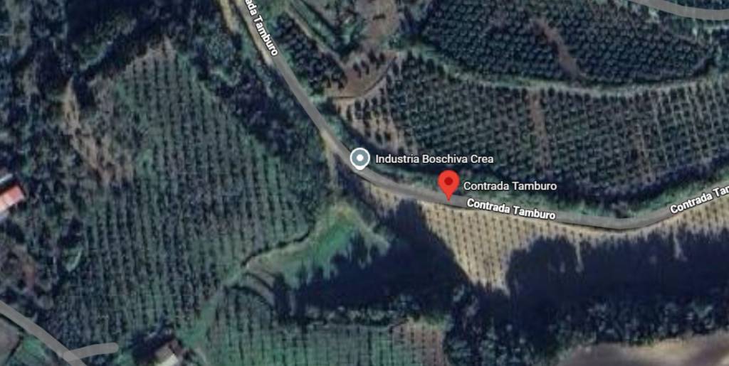 immagine annuncio 11 di 12