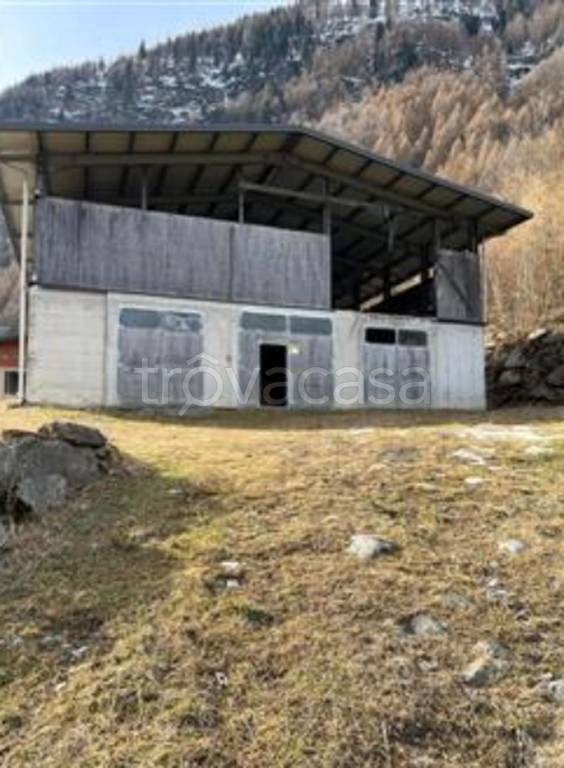 immagine annuncio 7 di 11