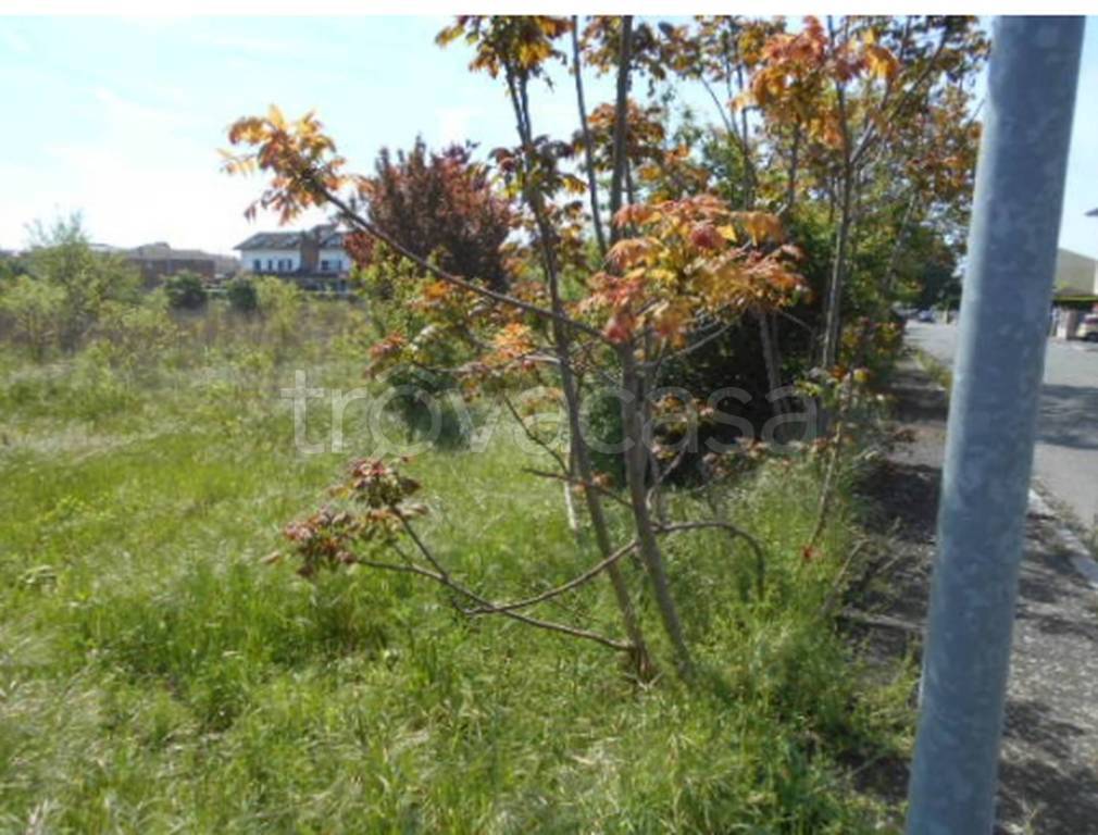 immagine annuncio 8 di 11