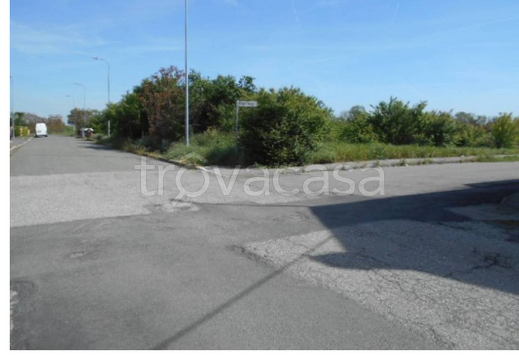 immagine annuncio 9 di 11