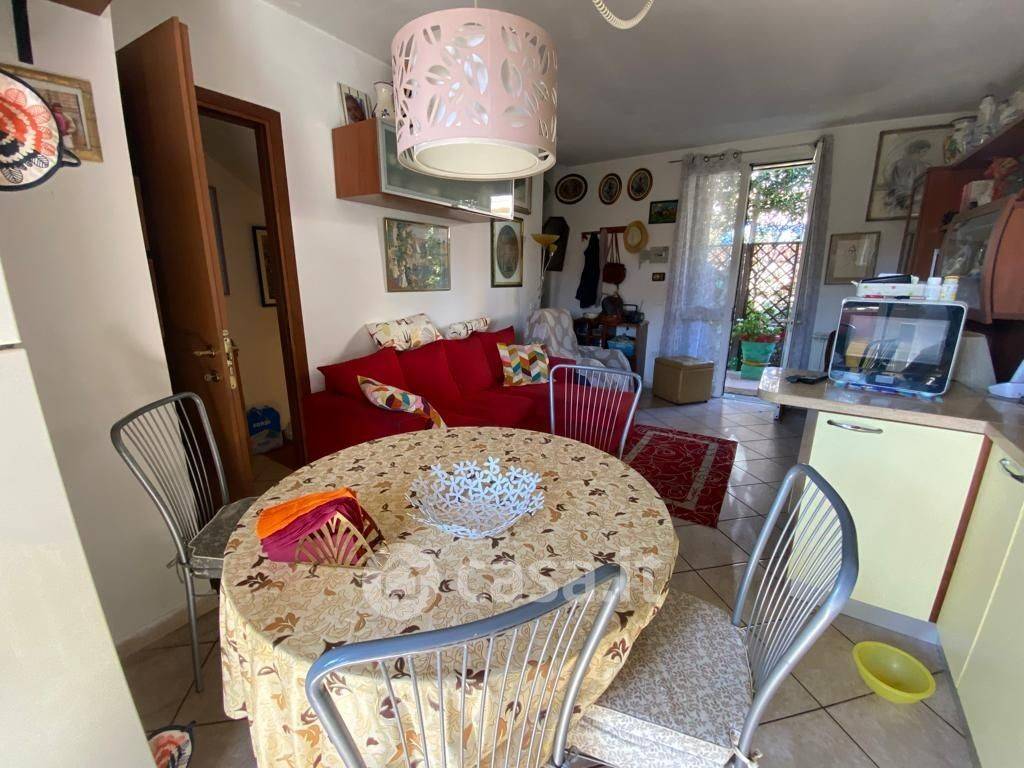 immagine annuncio 9 di 15