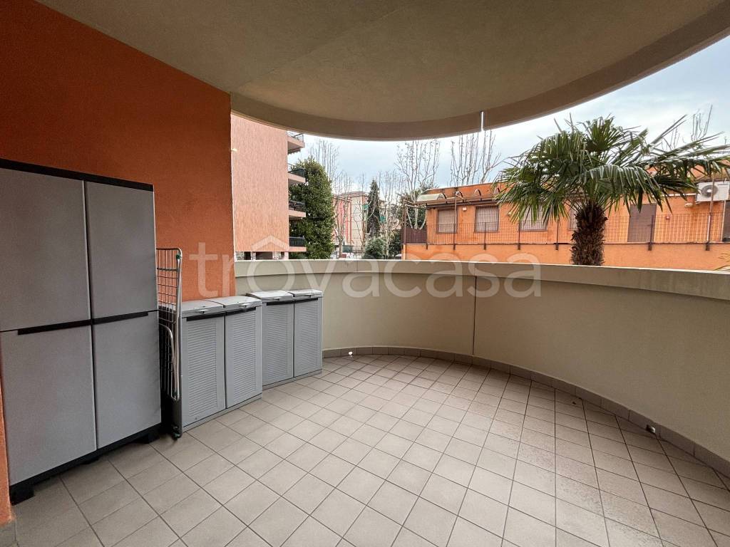 immagine annuncio 1 di 12