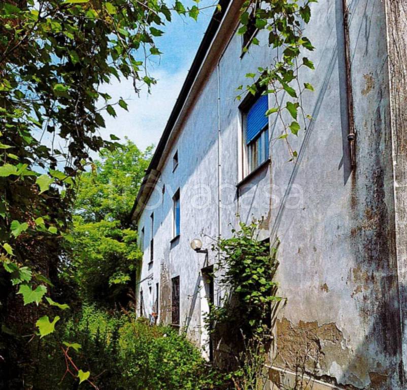 immagine annuncio 2 di 11