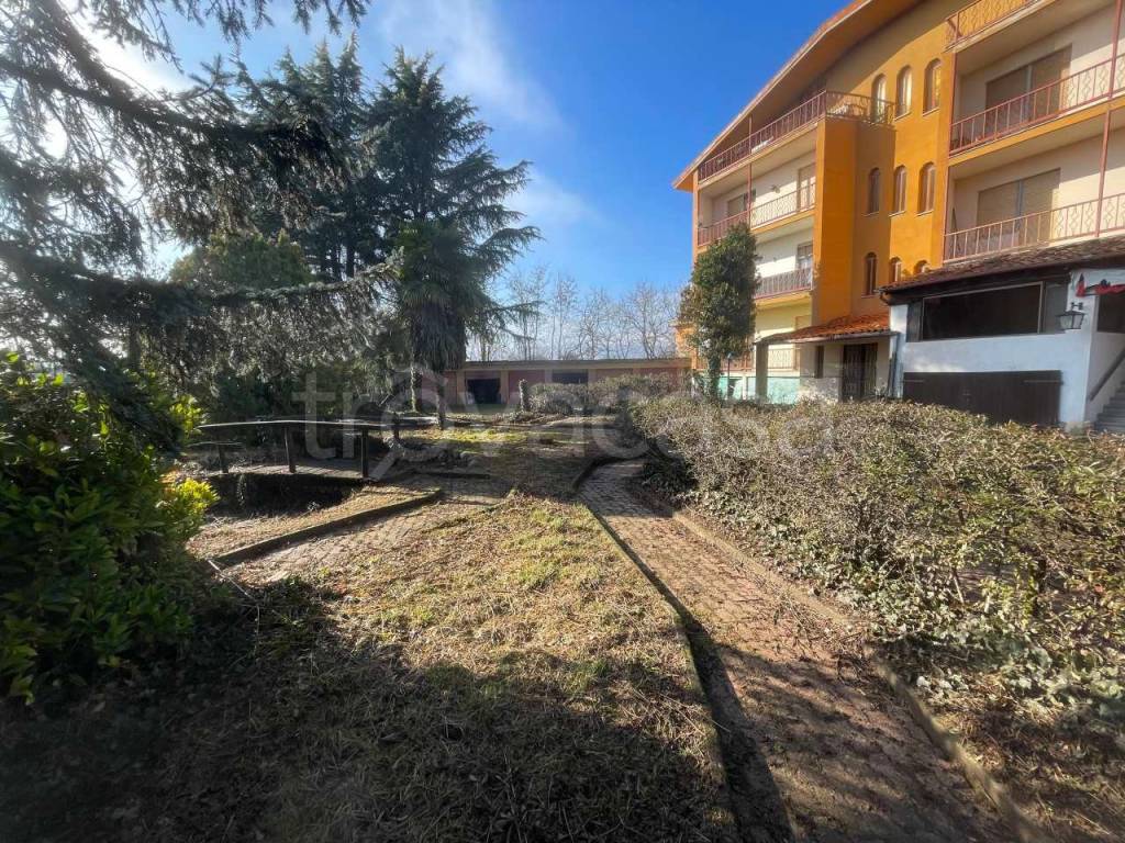 immagine annuncio 9 di 15