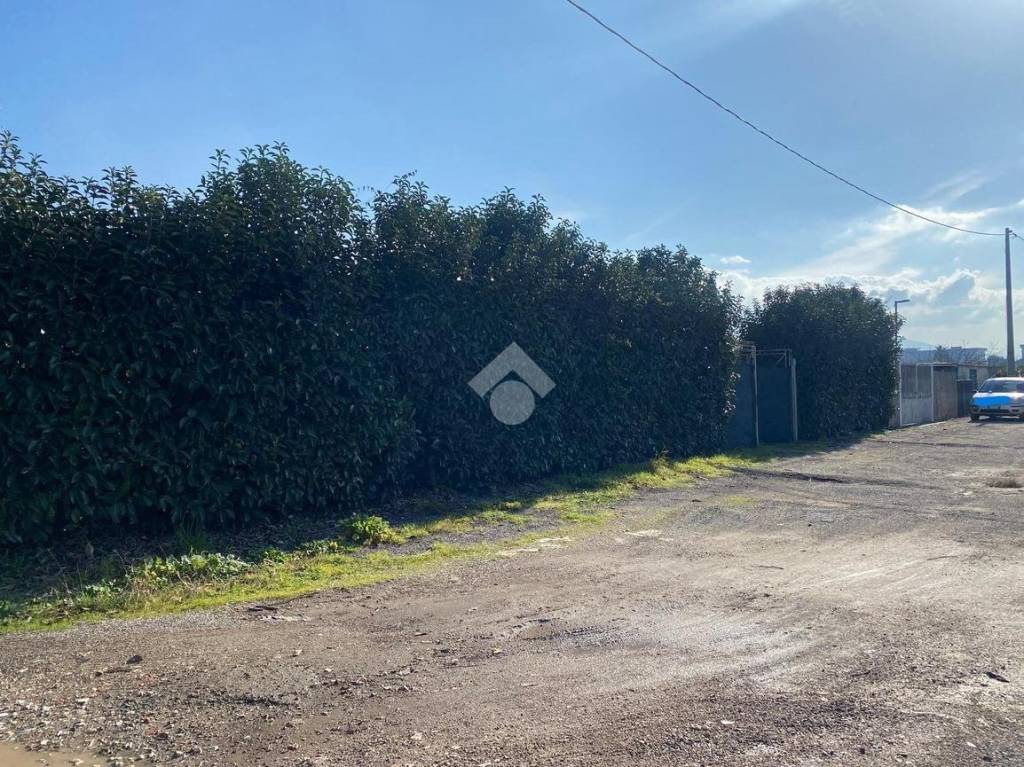 immagine annuncio 2 di 11