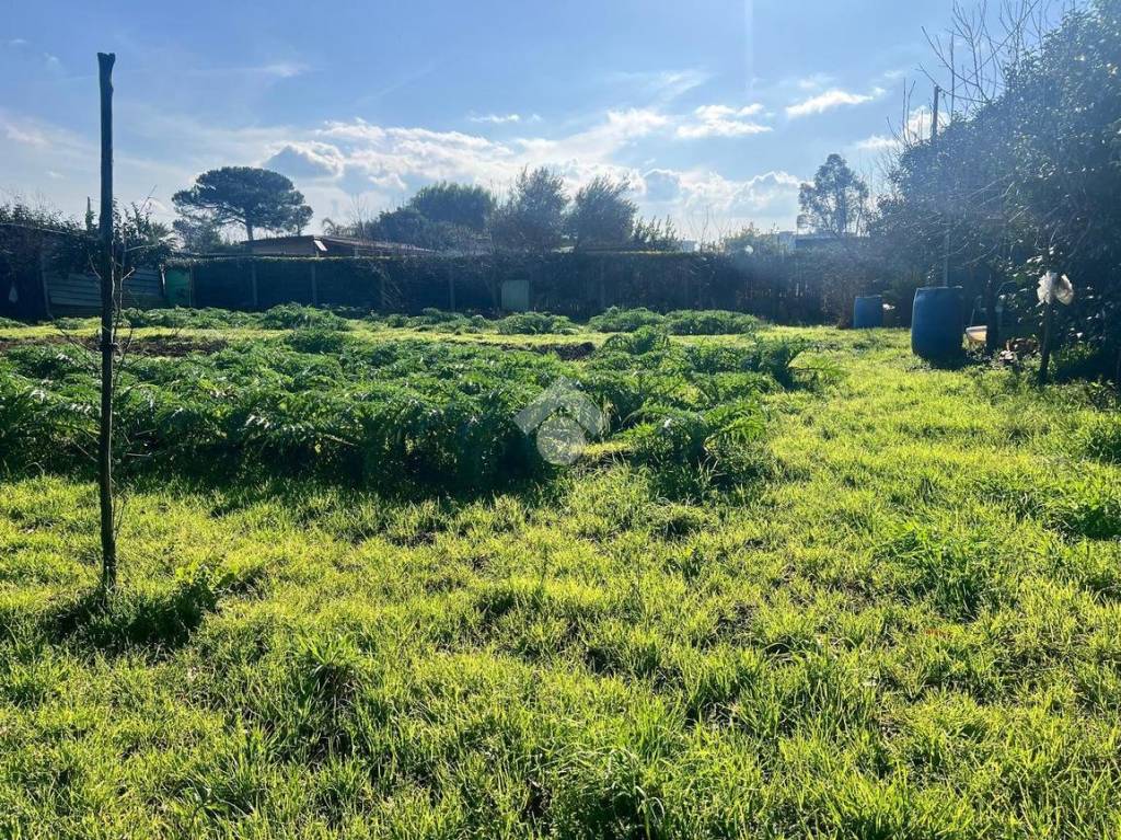 immagine annuncio 3 di 11