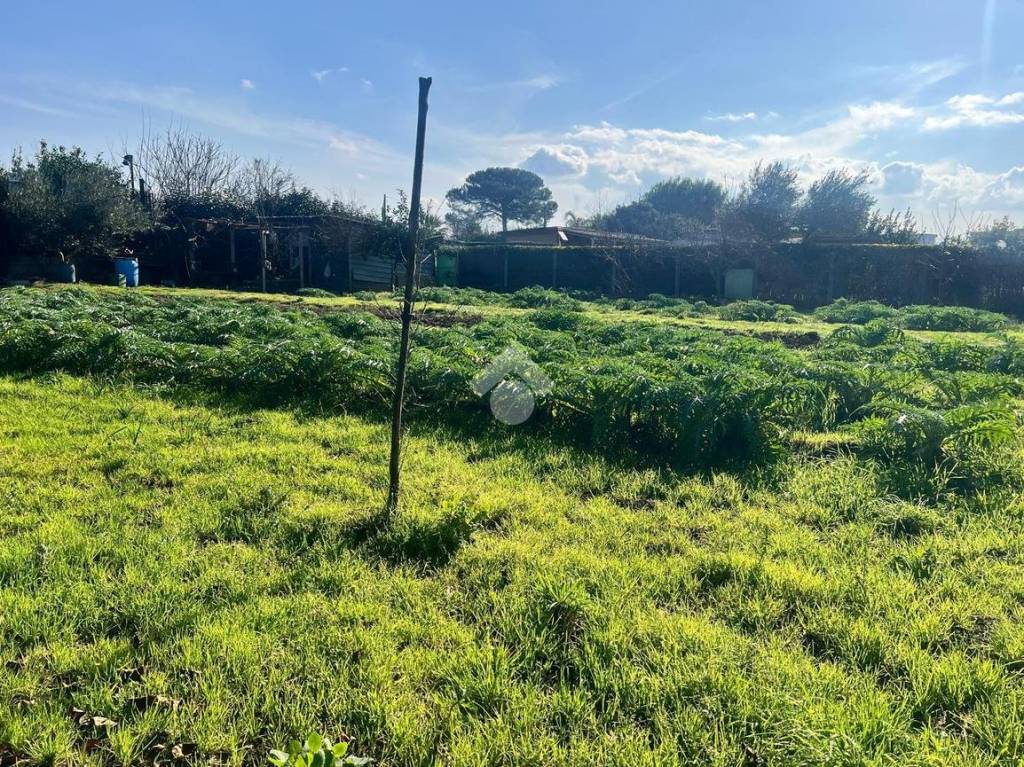 immagine annuncio 4 di 11