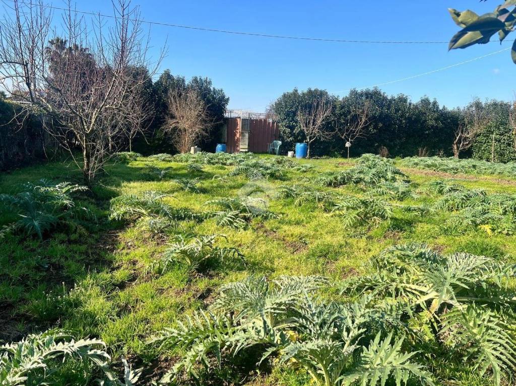 immagine annuncio 5 di 11