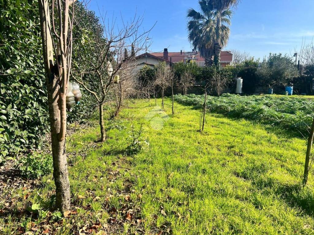 immagine annuncio 7 di 11