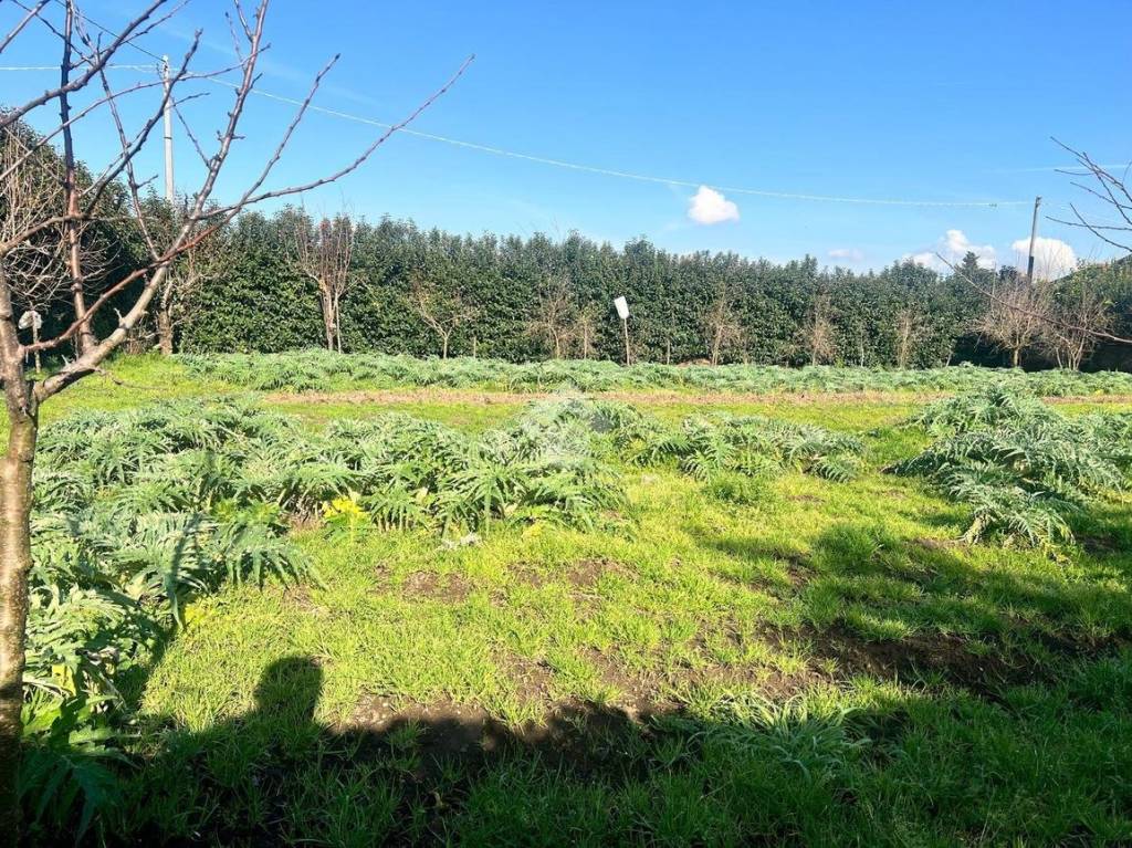 immagine annuncio 8 di 11