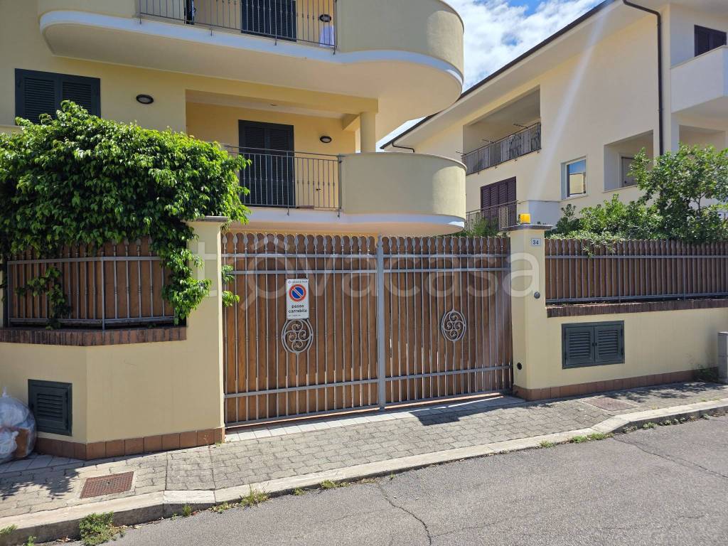 immagine annuncio 1 di 12