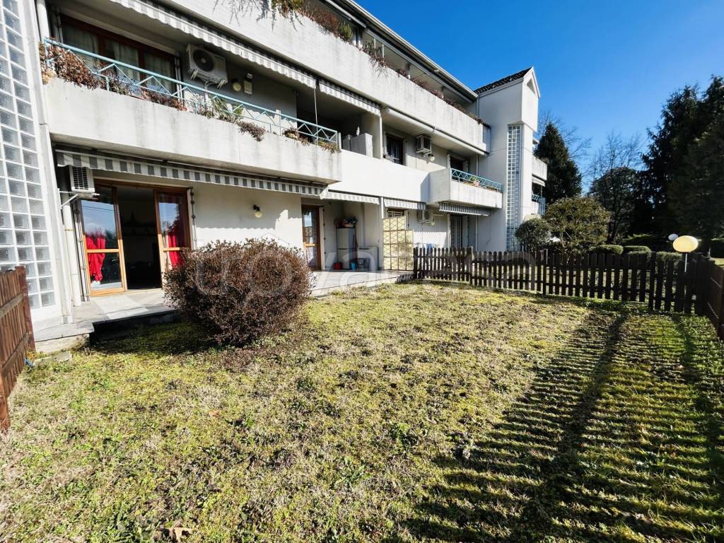 immagine annuncio 2 di 15