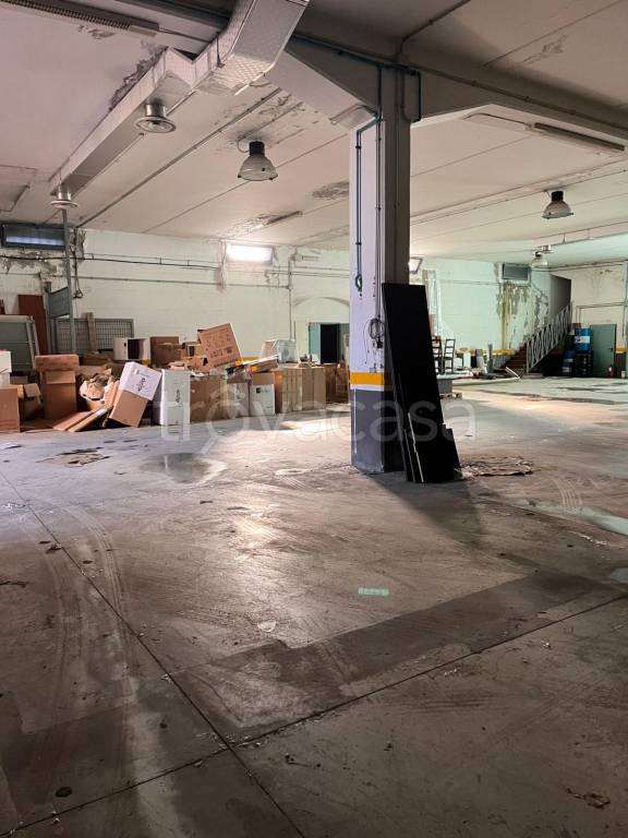 immagine annuncio 9 di 15