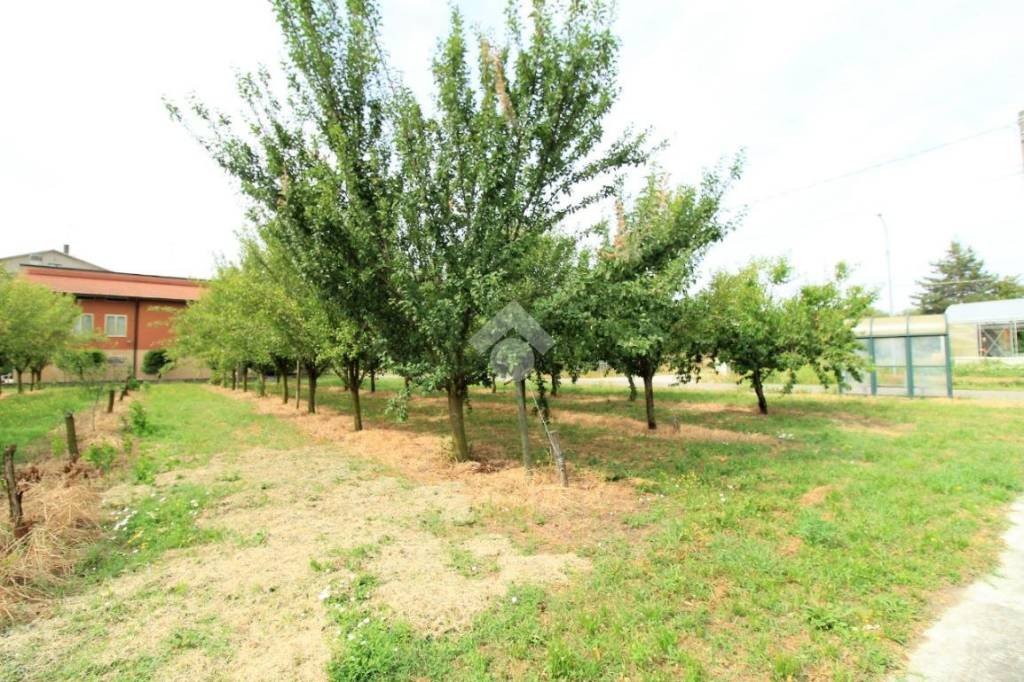 immagine annuncio 2 di 8