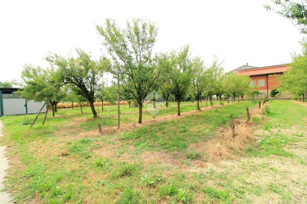 immagine annuncio 3 di 8