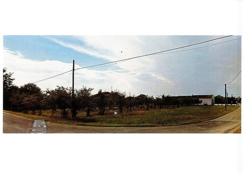 immagine annuncio 7 di 8