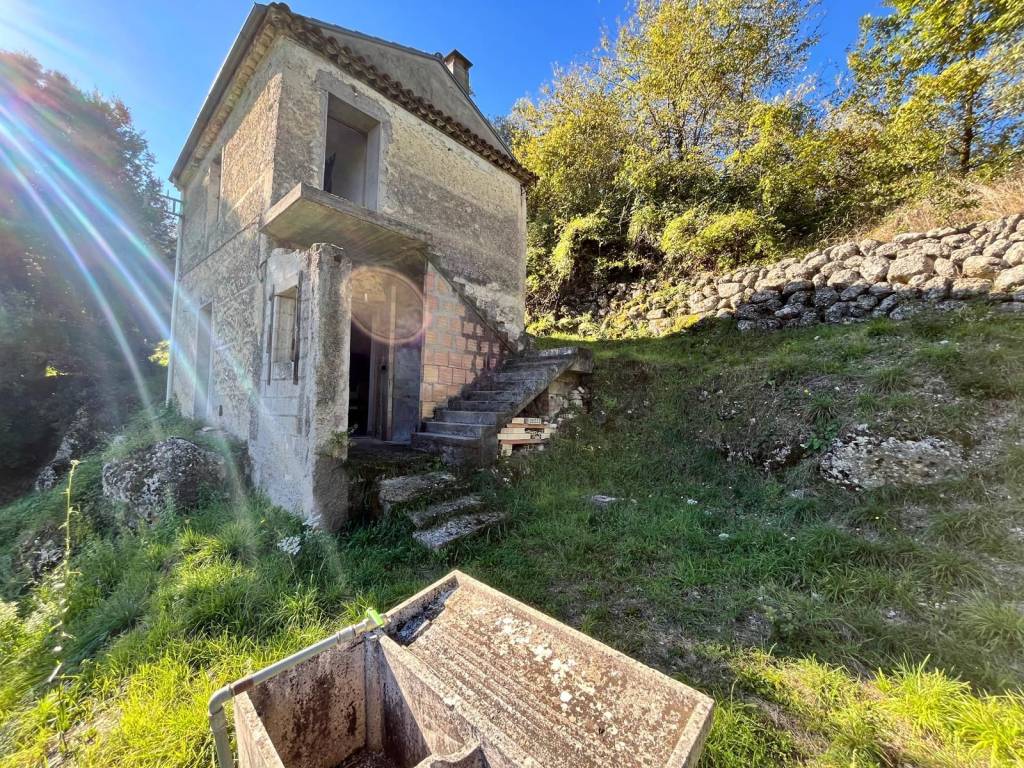 immagine annuncio 2 di 8