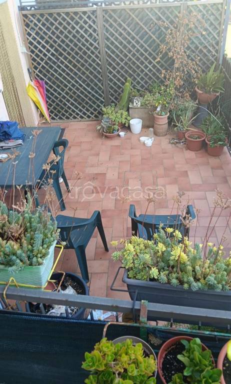 immagine annuncio 5 di 6