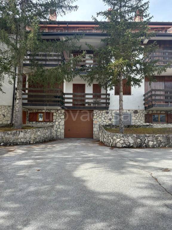 immagine annuncio 9 di 14