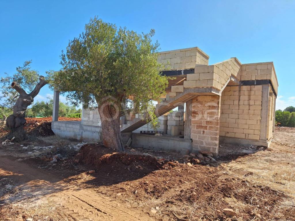 immagine annuncio 9 di 12