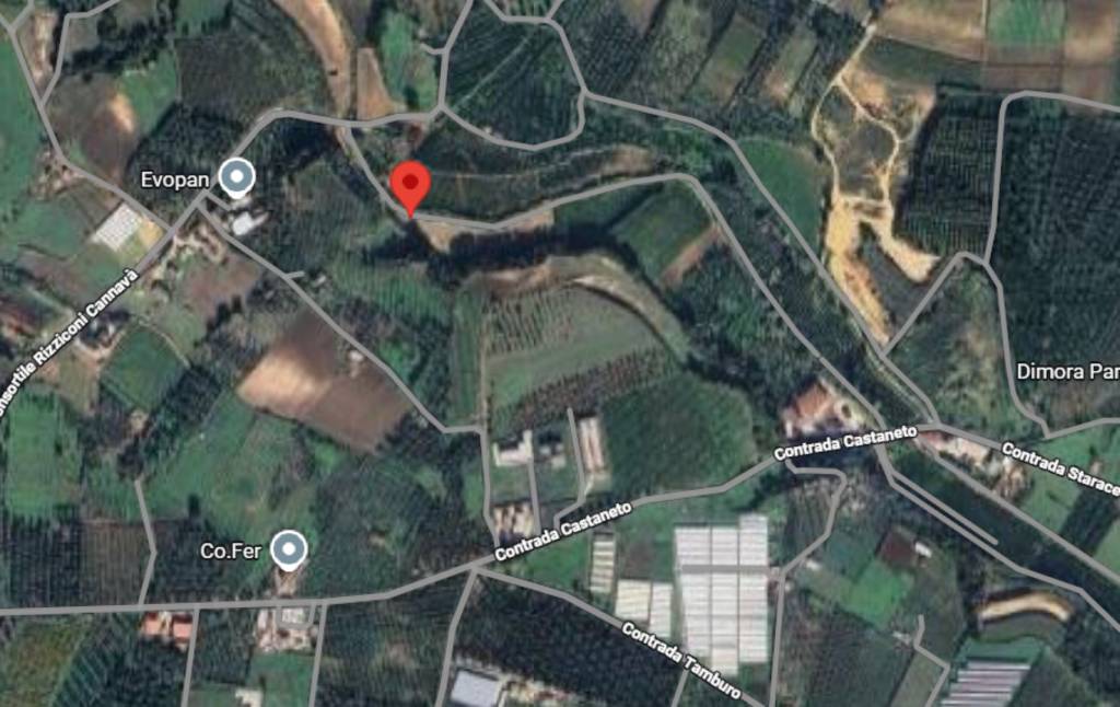 immagine annuncio 5 di 11