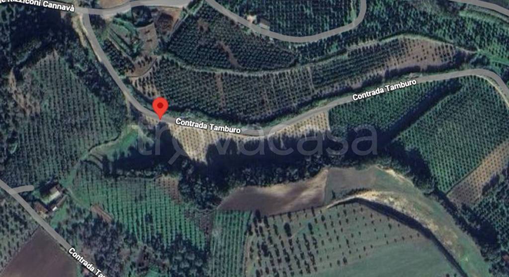 immagine annuncio 8 di 11